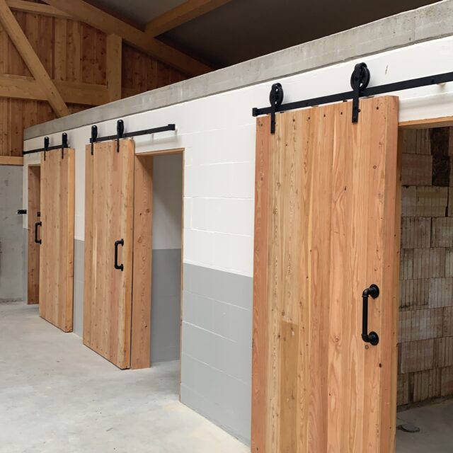 CB806B50-651E-4C3D-B6E2-560276DE29CF 2